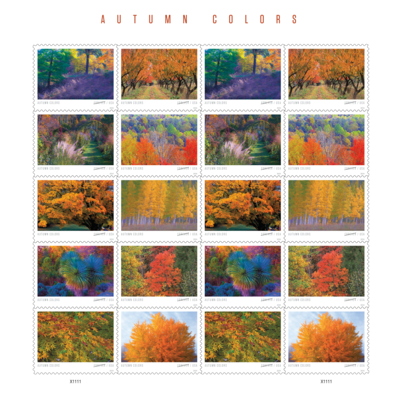 Autumn Colors 2024