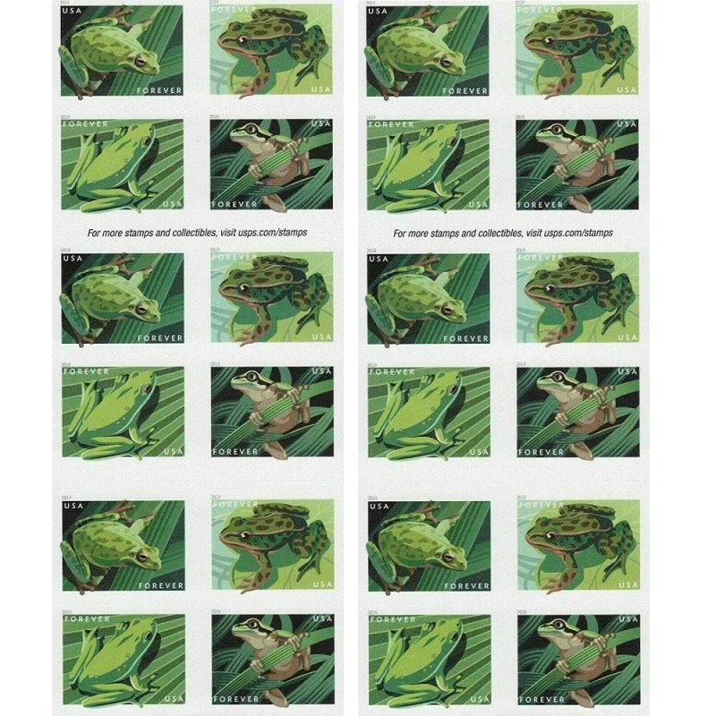 Frogs 2019 - Image 2