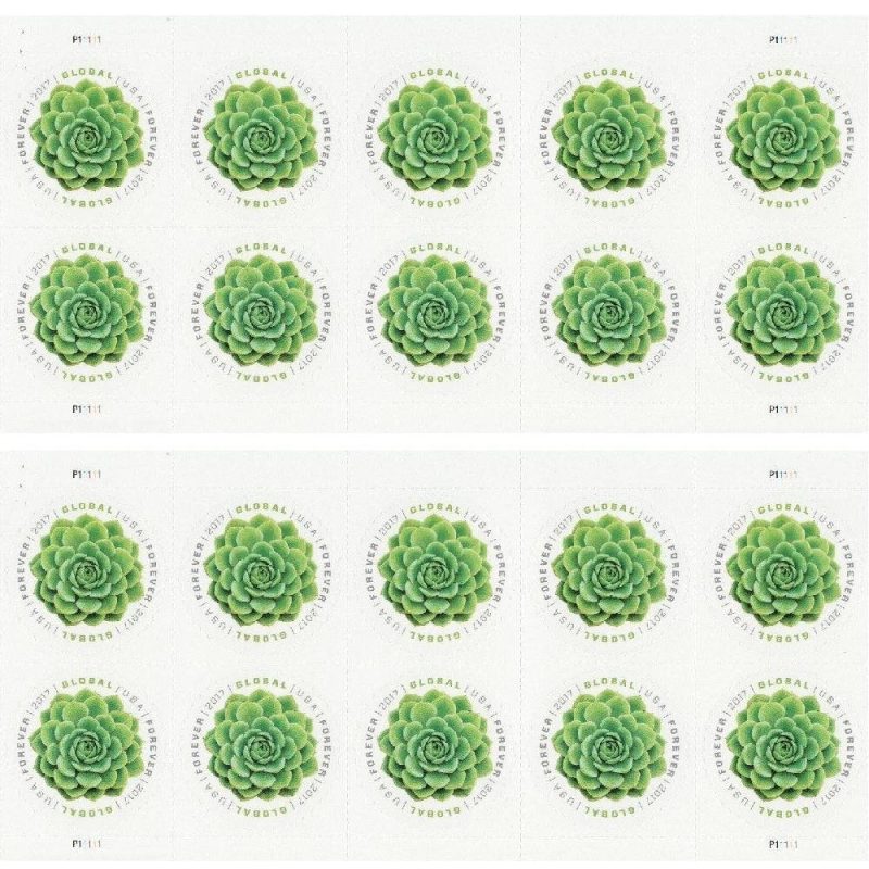 Global Green Succulent 2017 - Image 2