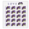 Purple Orchid 2010