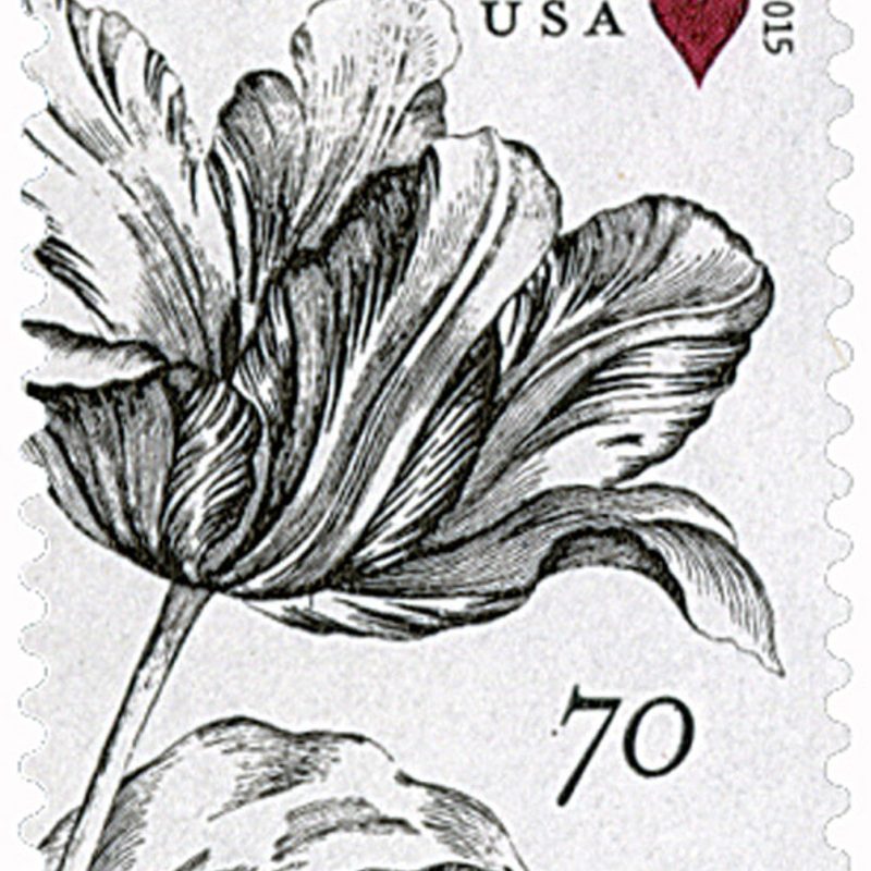 Vintage Orchid 2015